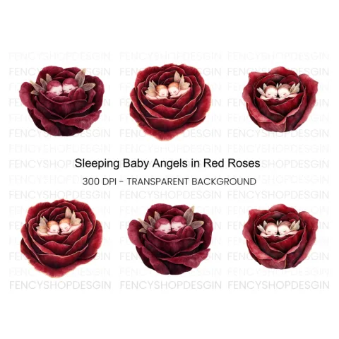 Sleeping Cherubs in Red Rose Clipart Bundle