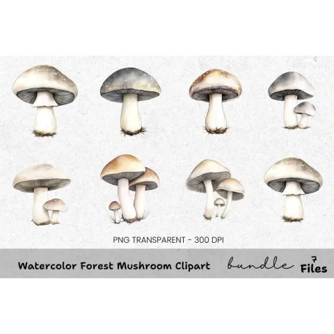 Forest Mushroom Clipart Bundle