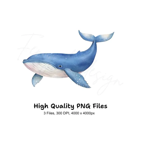 Blue Whale Ocean Clipart Bundle