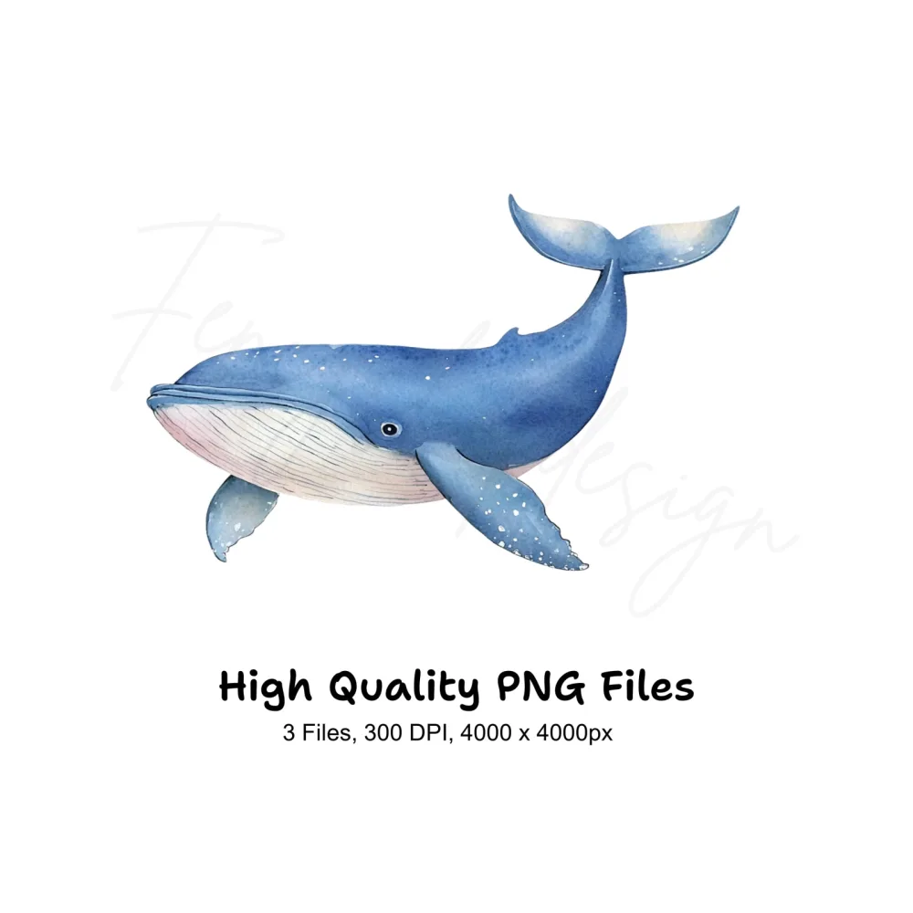 Blue Whale Ocean Clipart Bundle