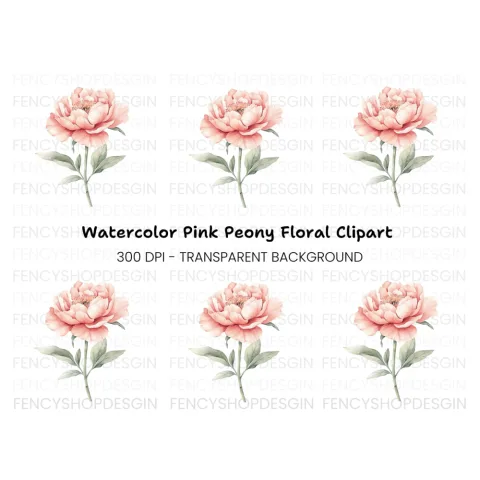 Elegant Pink Peony Clipart Bundle