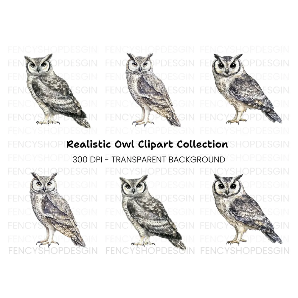 Realistic Owl Clipart Bundle