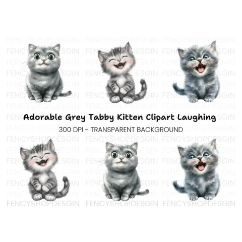 Adorable Grey Kitten Clipart Bundle