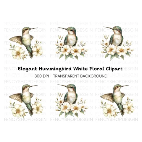 Hummingbird with White Flowers Clipart Bundle
