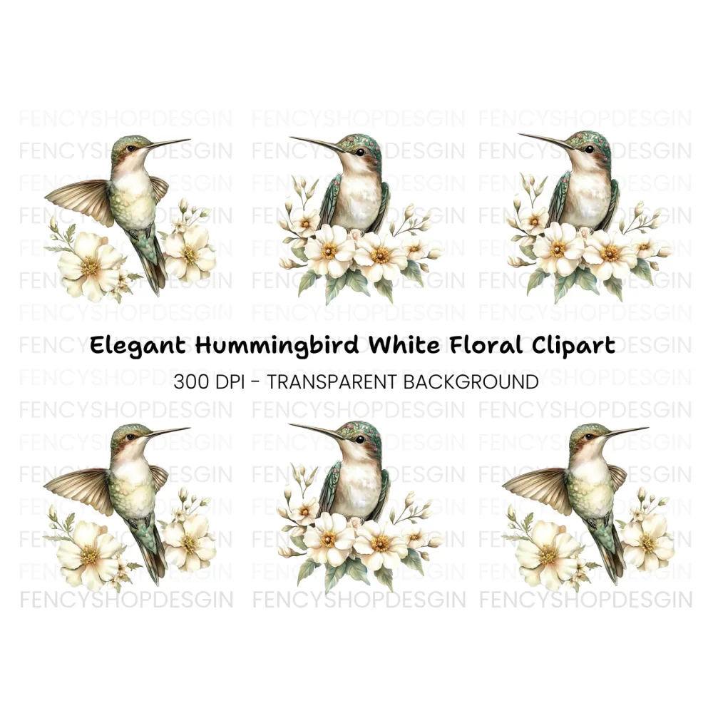 Hummingbird with White Flowers Clipart Bundle