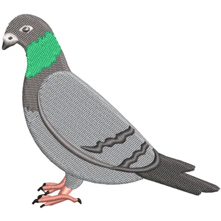 Pigeon Embroidery Design