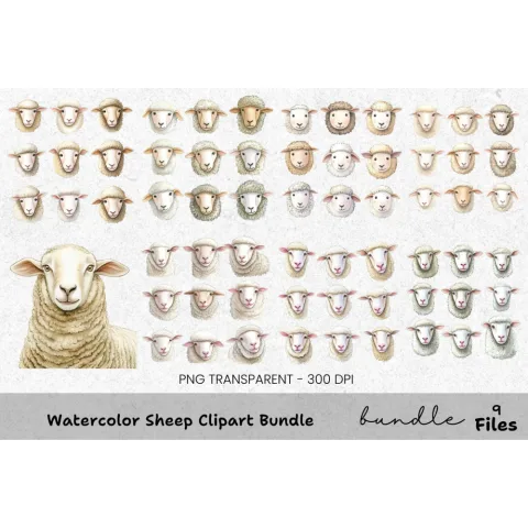 Sheep Clipart Bundle