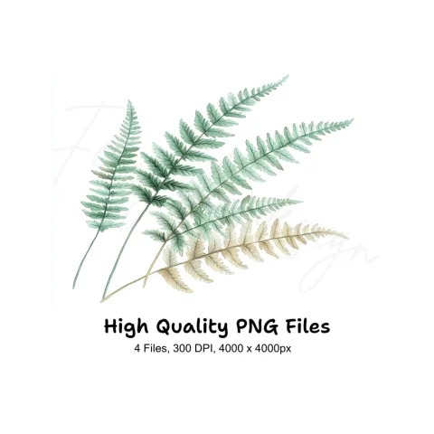 Fern Leaves Clipart Bundle