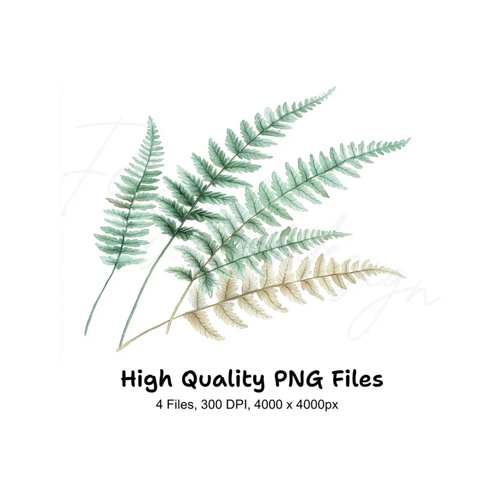 Fern Leaves Clipart Bundle
