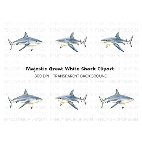 Realistic Shark Clipart Bundle