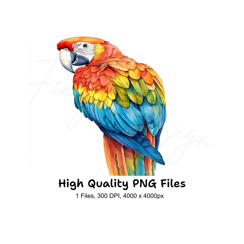Vibrant Macaw Clipart Bundle