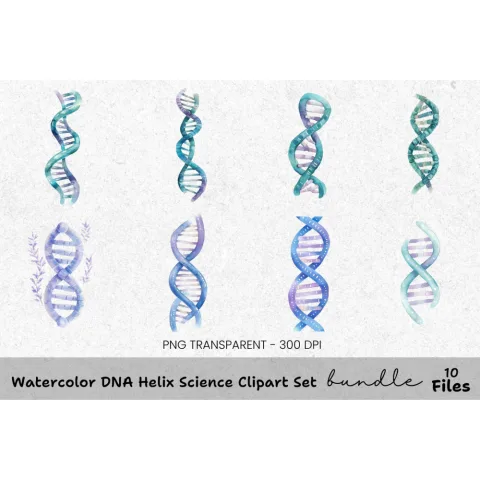 DNA Helix Science Clipart Bundle