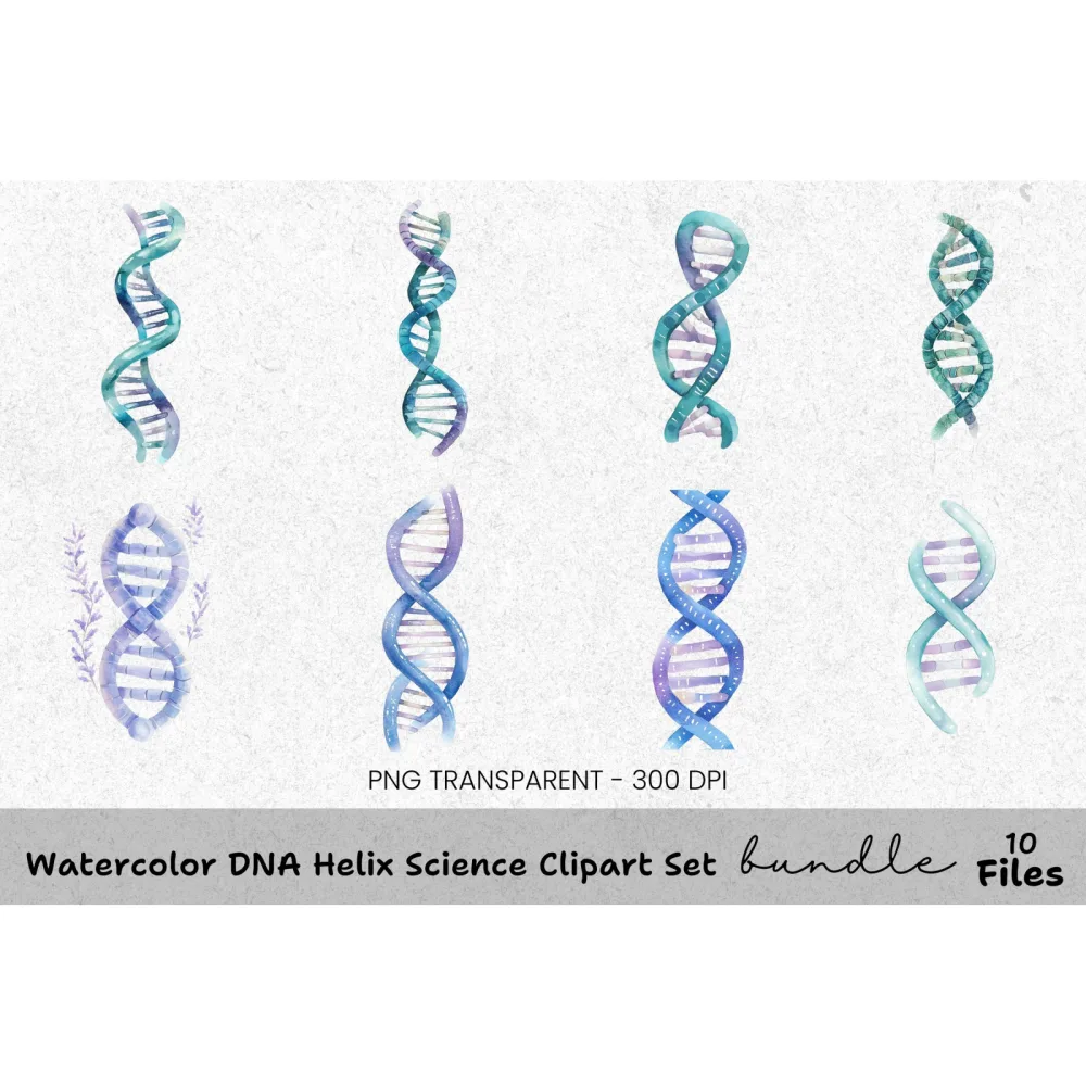 DNA Helix Science Clipart Bundle