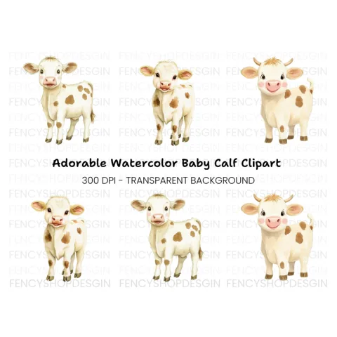 Cute Baby Calf Clipart Bundle