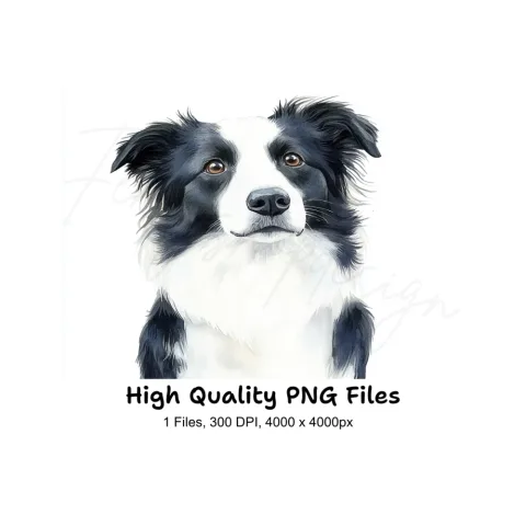 Majestic Border Collie Portrait Clipart Bundle