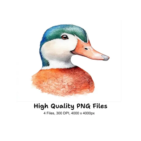 Wood Duck Heads Clipart Bundle
