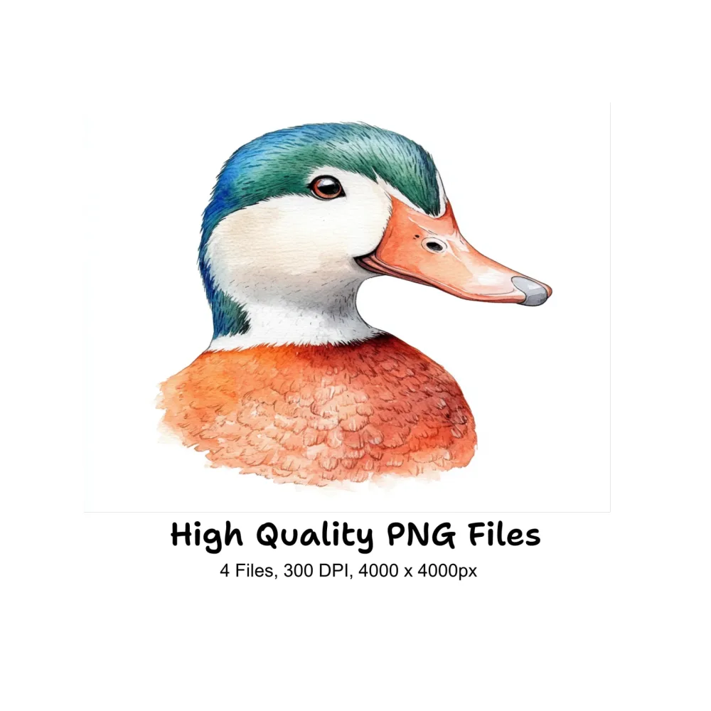 Wood Duck Heads Clipart Bundle