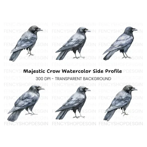 Black Crow Clipart Bundle