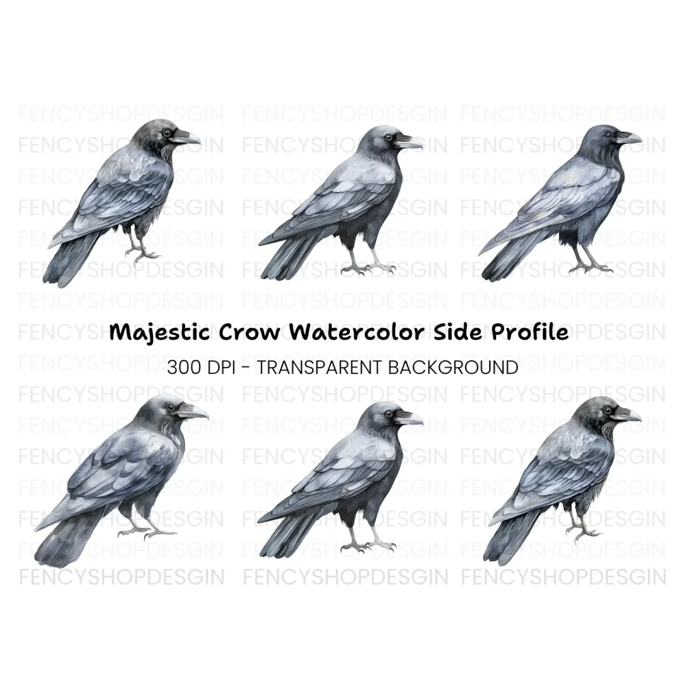 Black Crow Clipart Bundle