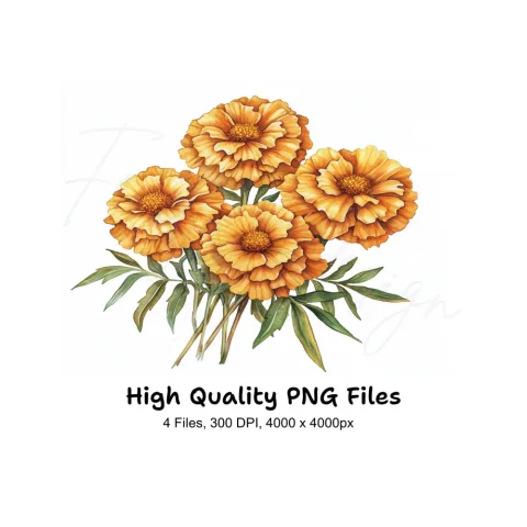 Vibrant Orange Marigold Flower Clipart Bundle