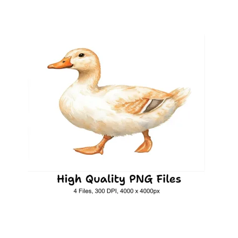 Walking Duck Clipart Bundle