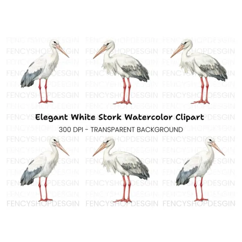 Elegant Stork Pair Clipart Bundle