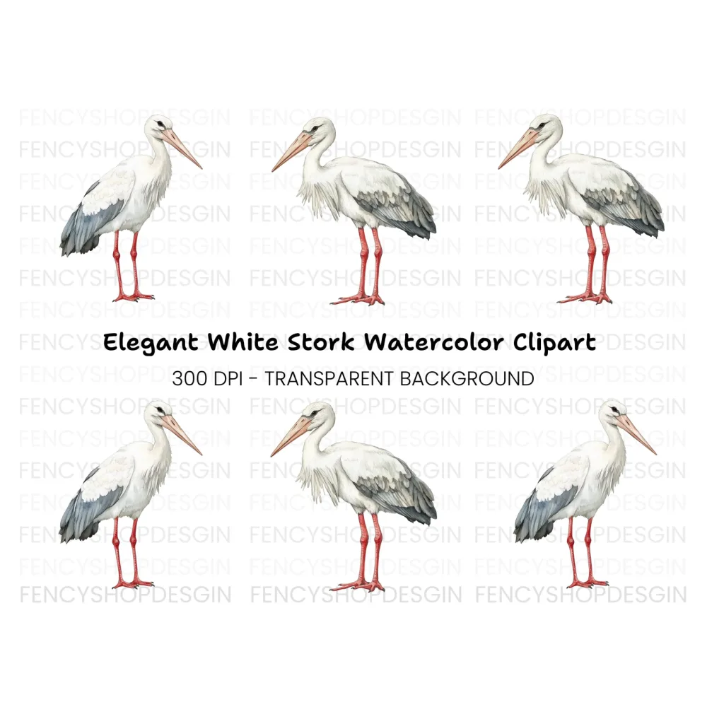 Elegant Stork Pair Clipart Bundle