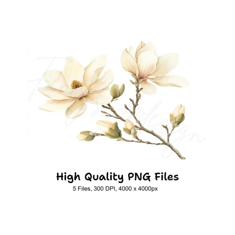 Magnolia Flower Clipart Bundle