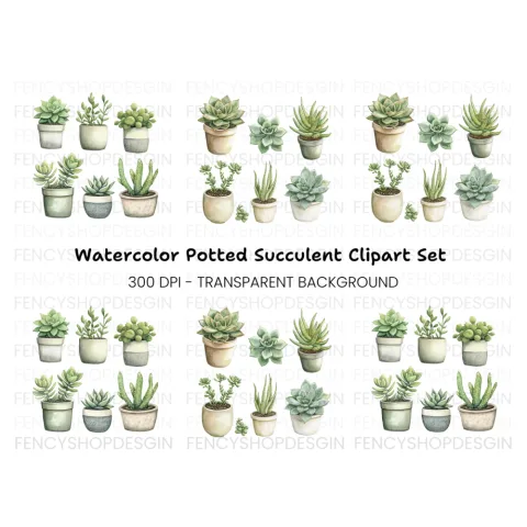 Succulent Clipart Bundle