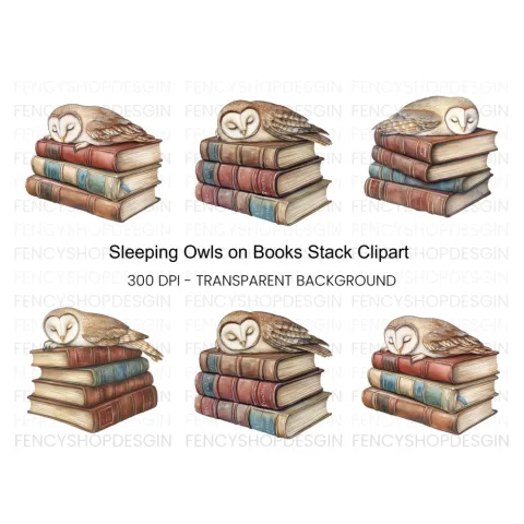 Sleeping Owls on Vintage Books Clipart Bundle