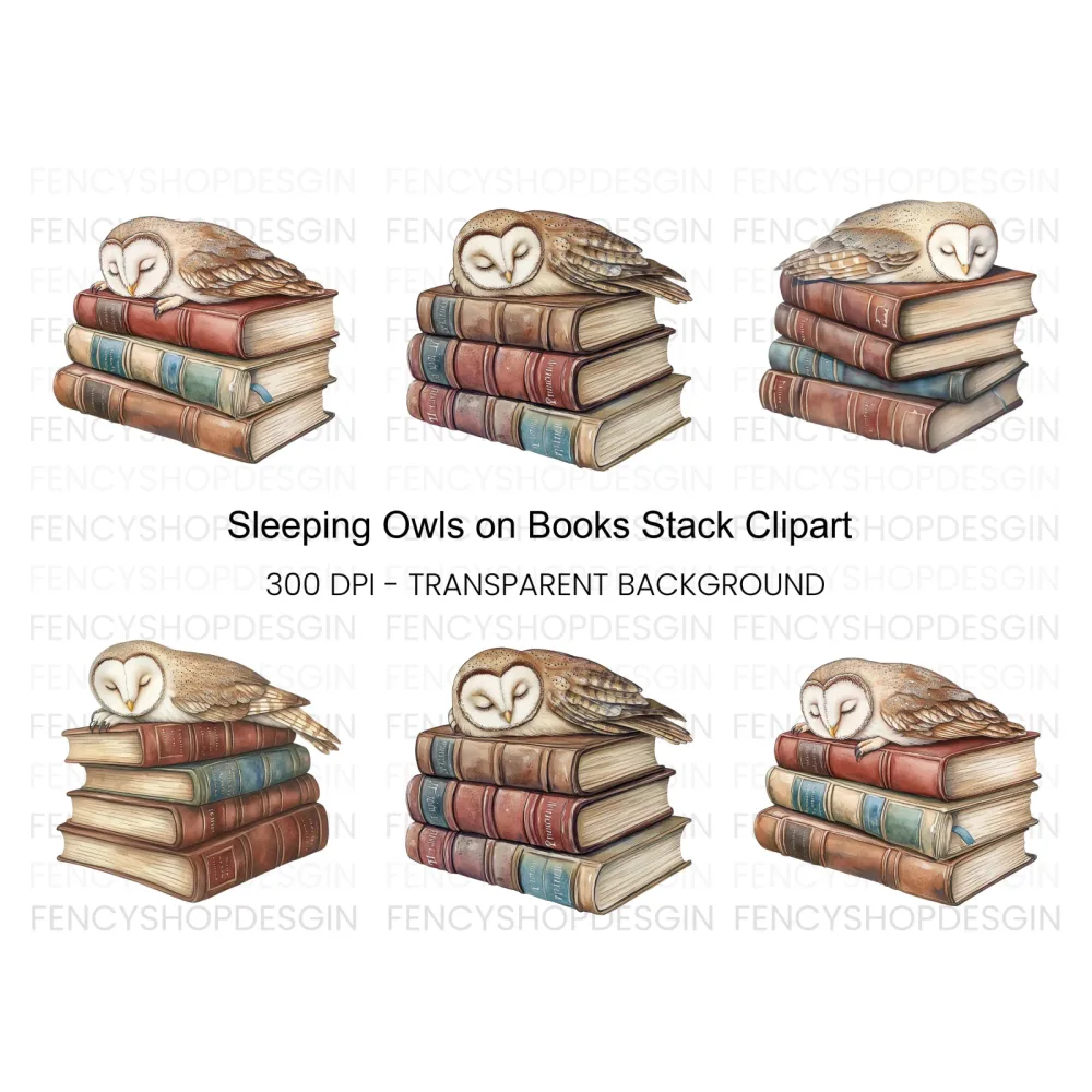 Sleeping Owls on Vintage Books Clipart Bundle