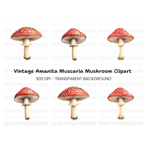 Red Toadstool Mushroom Clipart Bundle
