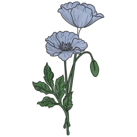 Flower Beauty Embroidery Design