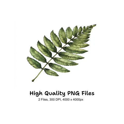 Green Fern and Branch Clipart Bundle