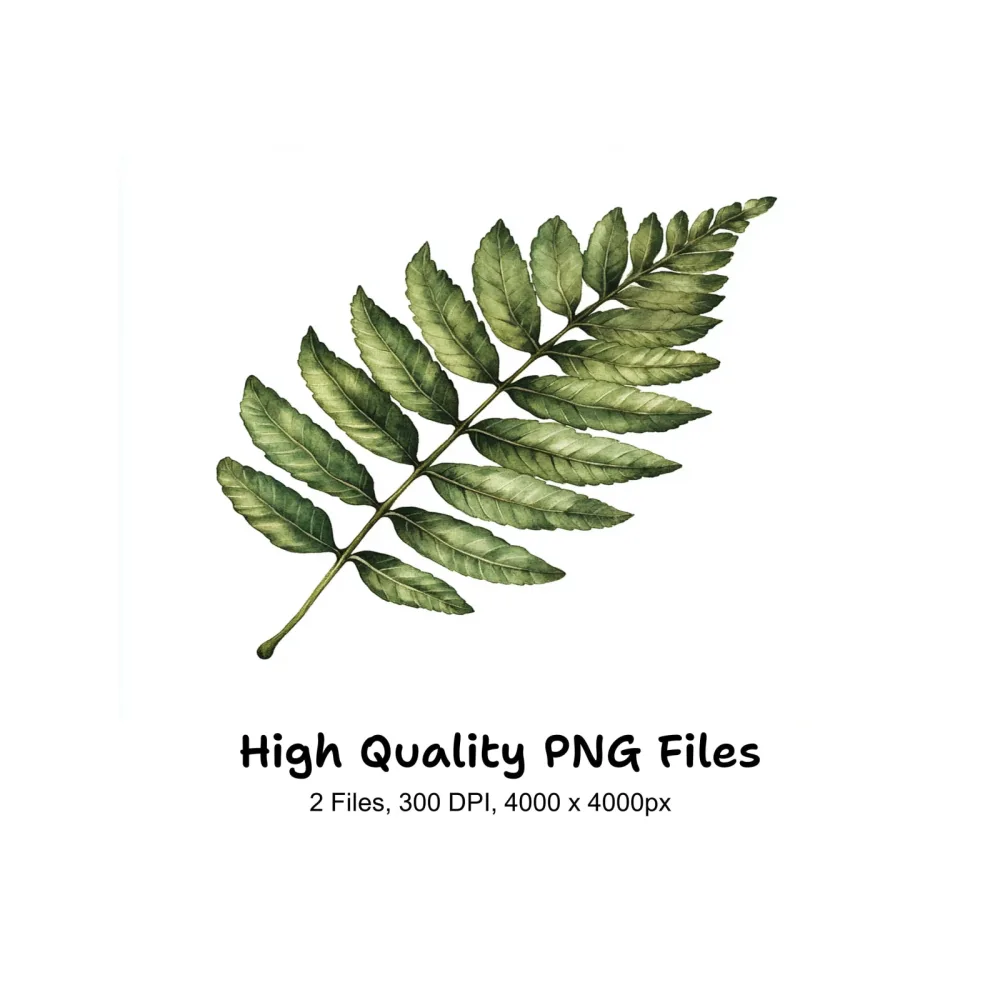 Green Fern and Branch Clipart Bundle