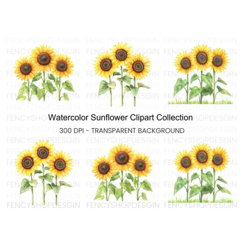 Sunflower Clipart Bundle