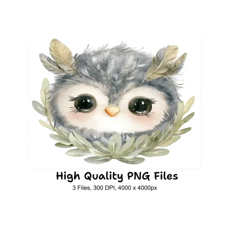 Cute Owl Clipart Bundle