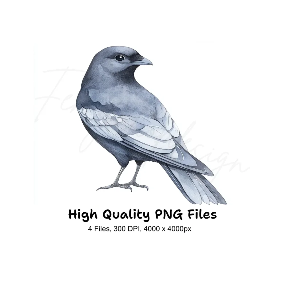 Cute Black and White Birds Clipart Bundle