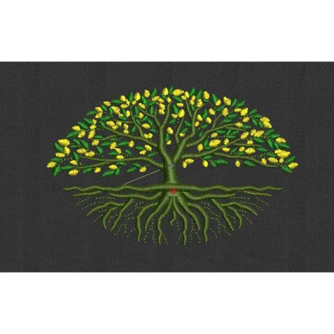 Mango Embroidery Design