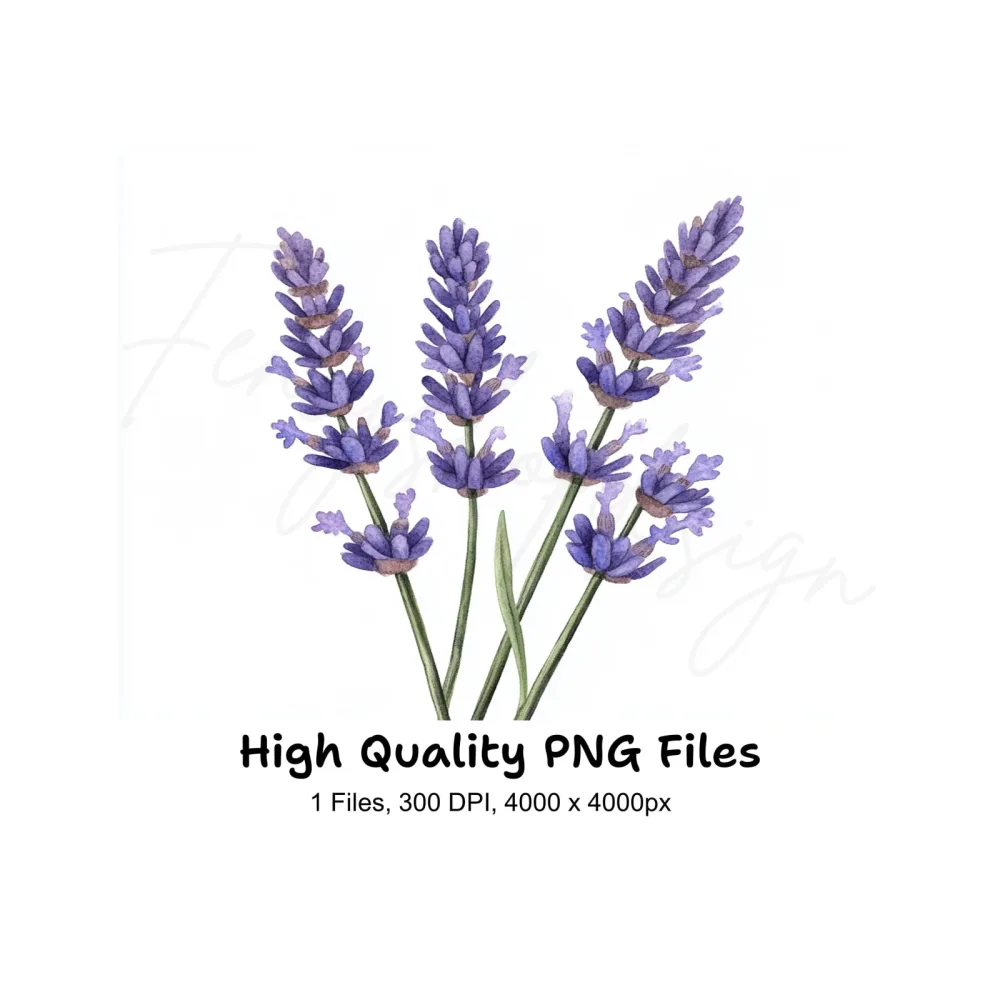 Beautiful Lavender Sprigs Clipart Bundle