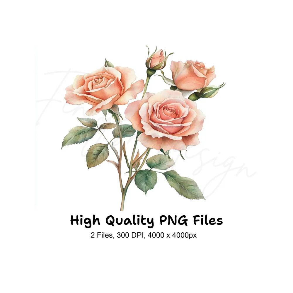Elegant Peach Rose Clipart Bundle