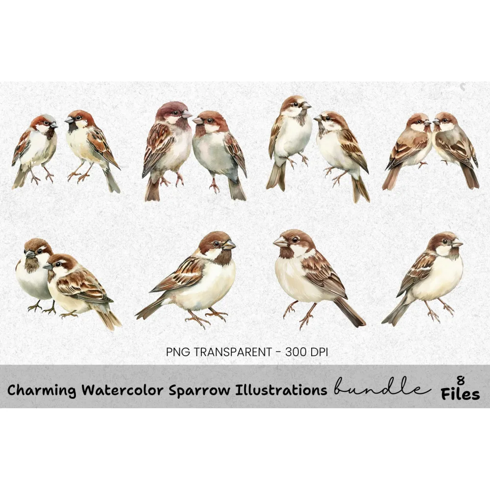 Charming Sparrow Illustrations Clipart Bundle