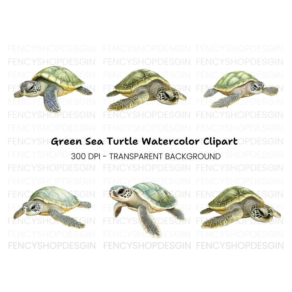 Green Sea Turtle Clipart Bundle