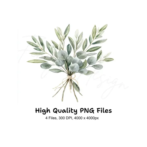 Eucalyptus Olive Bouquets Clipart Bundle