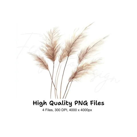 Pampas Grass Clipart Bundle