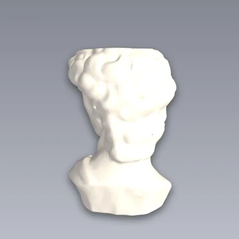 David Planter With Drainage 3D Print STL File
