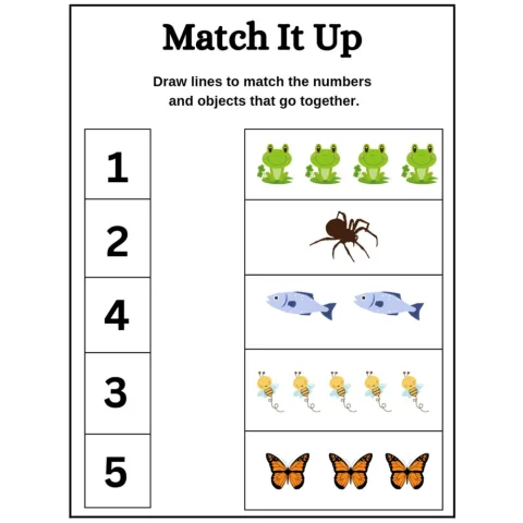 Count and Match Number Worksheets