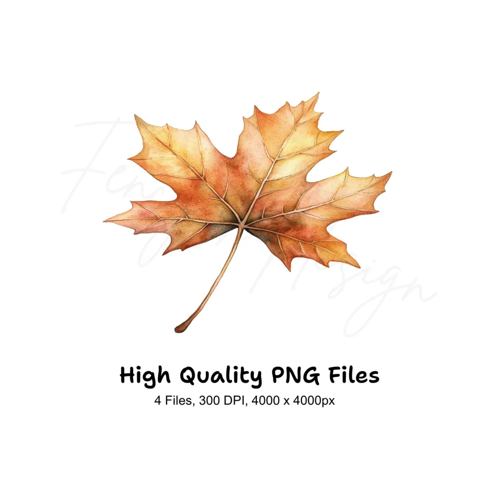 Autumn Maple Leaves Clipart Bundle