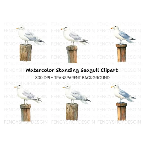 Seagull on Wooden Post Clipart Bundle