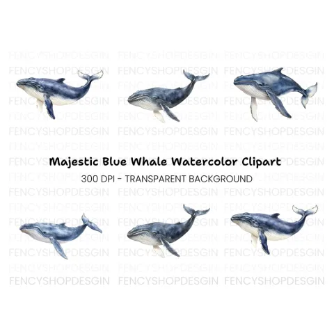 Blue Whale Clipart Bundle